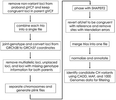 A Survey of Compound Heterozygous Variants in Pediatric Cancers and Structural Birth Defects